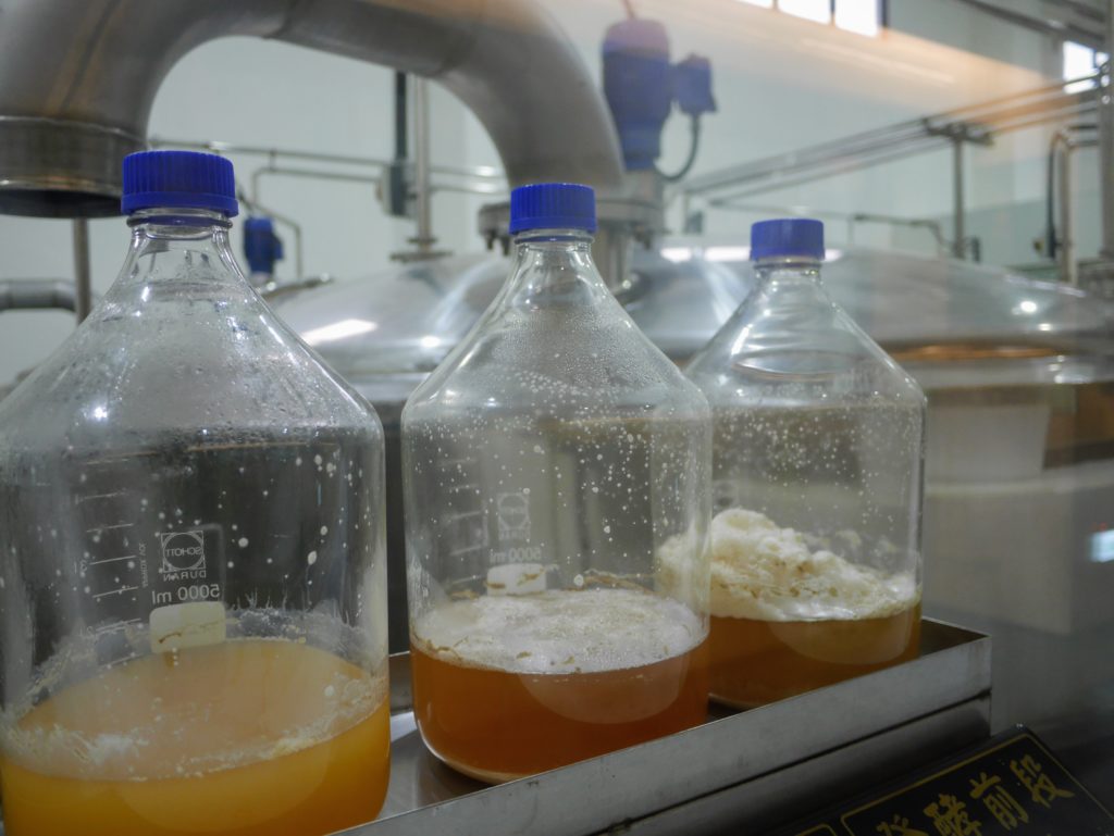 カバラン醸造所の発酵工程
